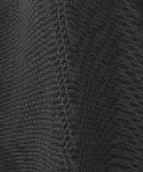 WILD THINGS(ワイルドシングス)の「<WILD THINGS> クライミング Tシャツ(Tシャツ/カットソー・メンズ・ホワイト/ダークグレー・L/XL/M)」の7枚目の写真