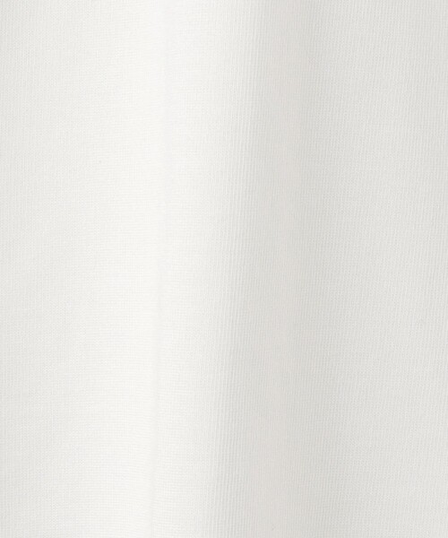 WILD THINGS(ワイルドシングス)の「<WILD THINGS> クライミング Tシャツ(Tシャツ/カットソー・メンズ・ホワイト/ダークグレー・L/XL/M)」の11枚目の写真