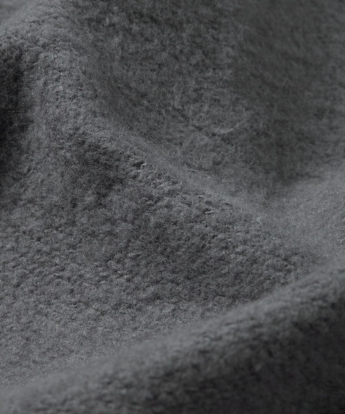 thisisneverthat(ディスイズネバーザット)の「Lion Hoodie(パーカー・メンズ・ブラック/ダークグレー・S/M/L/XL)」の12枚目の写真