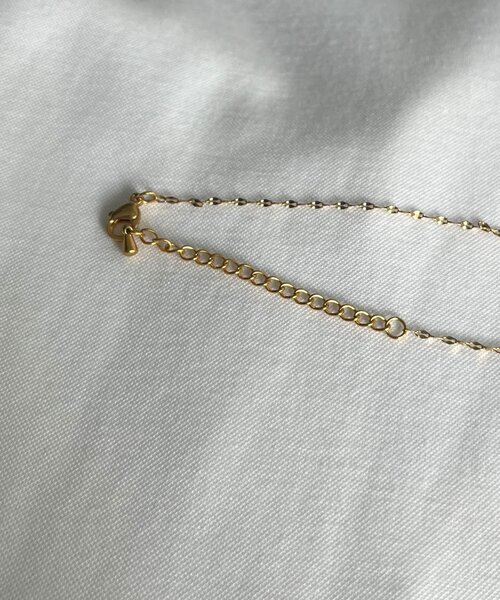 prose verse（プロズヴェール）の「【サージカルステンレス】ペタルチェーンネックレス（ネックレス・レディース・シルバー/ゴールド・FREE）」の5枚目の写真