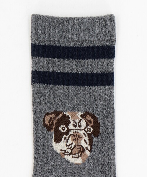 FREAK'S STORE(フリークスストア)の「限定展開 ROSTER SOX/ロスターソックス DOG-SOCKS/ドッグソックス(ソックス/靴下・レディース・オフホワイト/ライトグレー・ONE SIZE)」の3枚目の写真