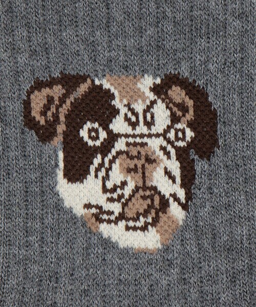 FREAK'S STORE(フリークスストア)の「限定展開 ROSTER SOX/ロスターソックス DOG-SOCKS/ドッグソックス(ソックス/靴下・レディース・オフホワイト/ライトグレー・ONE SIZE)」の4枚目の写真