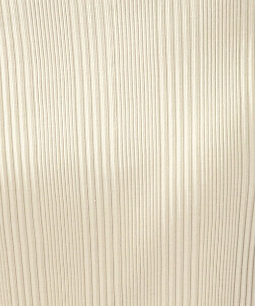 THE SHOP TK （ザ ショップ ティーケー ）の「◆【スッキリキレイ/洗える】コットンリブクルーTシャツ（Tシャツ/カットソー・レディース・ブラック/ライトベージュ/ホワイト系/ブラウン系・13/11/12）」の20枚目の写真