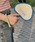 aimohaiACnj́upCsO҂݂iq/jvbu[n̑2