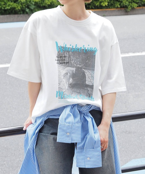 tiptop(ティップトップ)の「アソートフォトロゴBIGTシャツ(Tシャツ/カットソー・レディース・ホワイト系その他/グレー系その他/オフホワイト/チャコールグレー/グレー系その他2/ホワイト系その他2・FREE)」の17枚目の写真