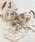 fran de lingerie�i�t�����f�����W�F���[�j�́u�u�����V���[�c�Z�b�g�@Bra&shorts�i�u��&�V���[�c�j�v�b�x�[�W���n