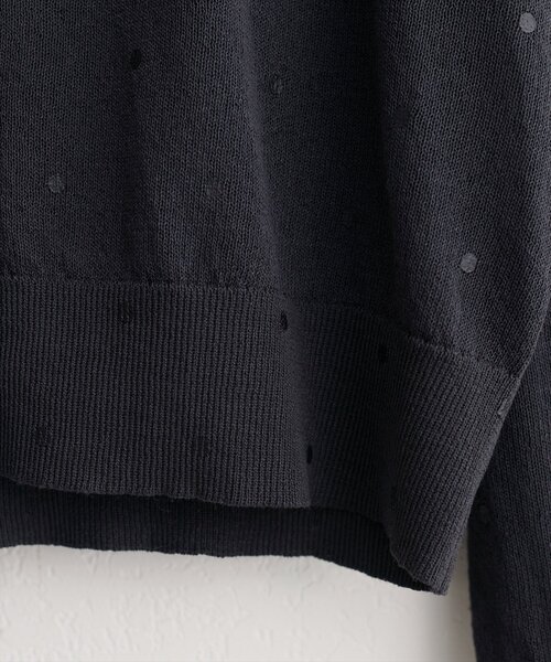 natural couture(ナチュラルクチュール)の「ドットシアーカーディガン(カーディガン/ボレロ・レディース・ベージュ/チャコールグレー/グレー/オフホワイト/ブラック・FREE)」の16枚目の写真