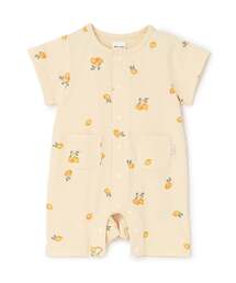 petit main(�v�e�B�}�C��)�̔����J�o�[�I�[��(�����p�[�X)