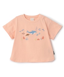 petit main(�v�e�B�}�C��)�́y�ڐG�⊴�z�C�̂������̎h���イT�V���c(T�V���c/�J�b�g�\�[)