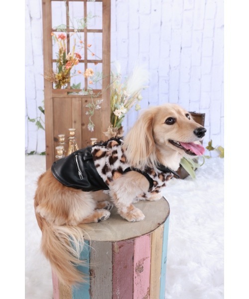 minimo】豹柄ワンピース/犬服(ドッグウェア)(SU)（ペットウェア