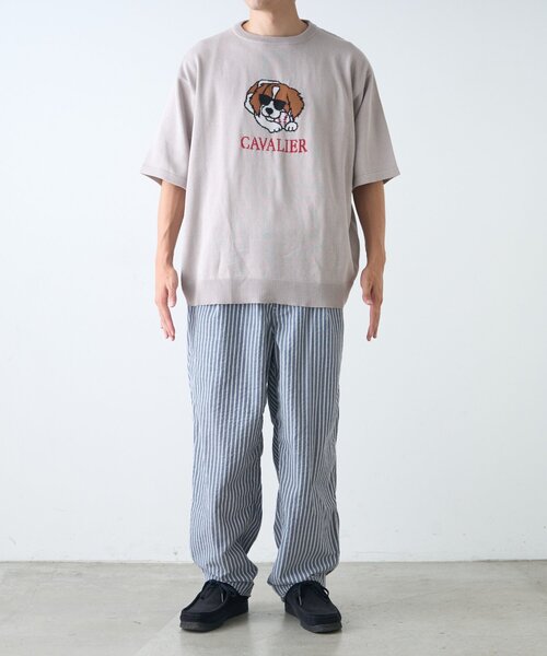 CIAOPANIC TYPY(チャオパニックティピー)の「【ユニセックス】アニマル柄犬サマーニット半袖Tシャツ(Tシャツ/カットソー・レディース・ライトグレー/ホワイト系その他/ネイビー/ベージュ・LARGE/MEDIUM)」の14枚目の写真