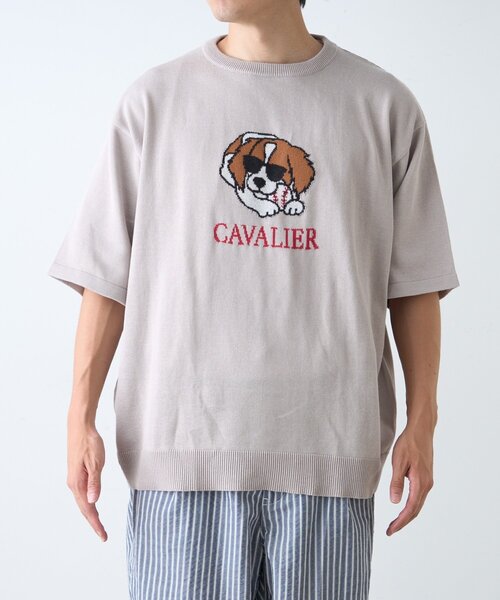 CIAOPANIC TYPY(チャオパニックティピー)の「【ユニセックス】アニマル柄犬サマーニット半袖Tシャツ(Tシャツ/カットソー・レディース・ライトグレー/ホワイト系その他/ネイビー/ベージュ・LARGE/MEDIUM)」の11枚目の写真