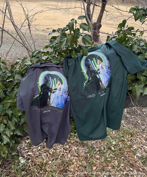 AS KNOW AS plus(アズノゥアズプラス)の「〇アクリルキーホルダー付き WICKED Tシャツ 【WICKED/ウィキッド】(Tシャツ/カットソー・レディース・グリーン/ピンク/オフホワイト/チャコールグレー・FREE)」の19枚目の写真