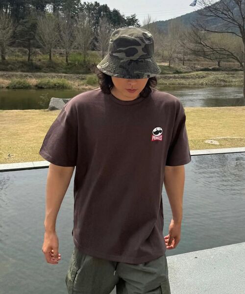 KALAPATTHAR（カラパタール）の「[PRINGLES x KALAPATTHAR] Summer Potato Pool T-Shirt - Brown（Tシャツ/カットソー・メンズ・その他・X-LARGE/LARGE/MEDIUM）」の7枚目の写真