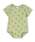 petit main�i�v�e�B�}�C���j�́u���������p�[�X�i�����p�[�X�j�v�b���C�g�O���[��