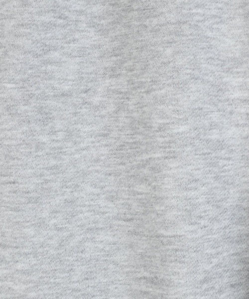 DAIWA PIER39（ダイワピア39）の「DAIWA PIER39 / ダイワ ピアサーティナイン：TECH SWEAT PANTS：BP-56026[PIE]（スウェットパンツ・メンズ・ヘザーグレー・S/M/L）」の5枚目の写真