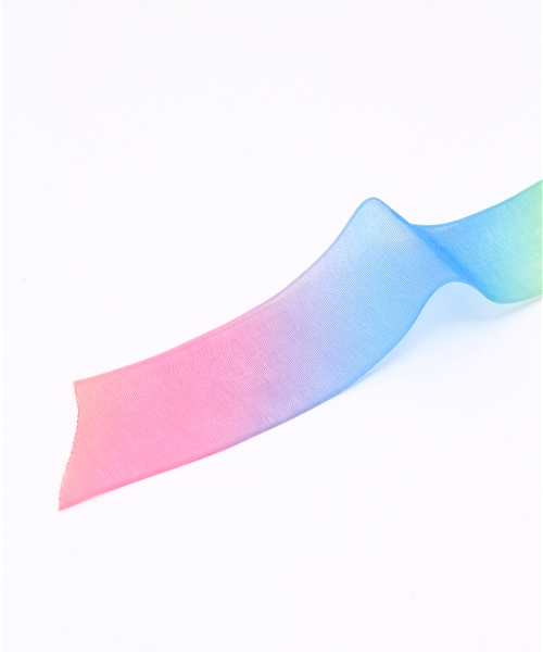 WEGO（ウィゴー）の「WEGO/カラーシューレース（シューケア用品・レディース・その他1/その他2・FREE）」の3枚目の写真