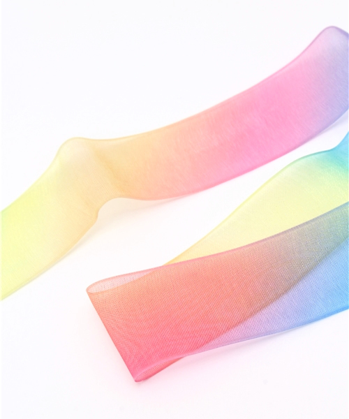 WEGO（ウィゴー）の「WEGO/カラーシューレース（シューケア用品・レディース・その他1/その他2・FREE）」の4枚目の写真