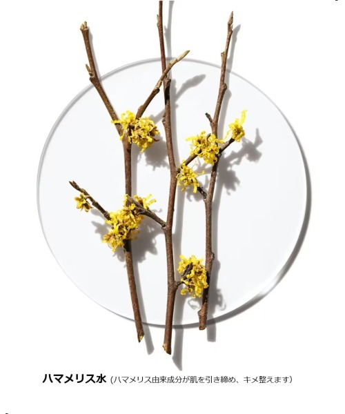 CLINIQUE(クリニーク)の「クラリファイング ローション 1.0 (100mL)(ふき取り化粧水)(化粧水・レディース・その他・FREE)」の19枚目の写真