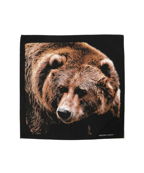 bpr BEAMS（ビーピーアール ビームス ）の「The Printed Image / BANDANA（バンダナ/スカーフ・メンズ・ワイン/ブラウン系その他/レッド系その他6/レッド系その他2/オフホワイト/ブラウン系その他4/オレンジ系その他2/ブラック系その他/ブラウン系その他5/ブラック系その他4/ホワイト系その他6/レッド系その他4/シルバー/ピンク/カーキ/グレー/ライトグレー/レッド系その他/チャコールグレー/ホワイト系その他3/ホワイト系その他2/ナチュラル/ホワイト系その他7/ホワイト系その他4/ブラウン系その他3/ブラウン系その他2/グレー系その他/ベージュ/レッド系その他3/ブラウン/ホワイト/ホワイト系その他5/ブラック系その他3/ダークブラウン/ブラック/レッド/ダークオレンジ/オレンジ系その他3/オレンジ系その他4/オレンジ系その他5/オレンジ系その他6/オレンジ系その他7/ケリーグリーン/オレンジ/ゴールド/イエロー/グリーン/ミント/マスタード/クリーム/グリーン系その他/イエロー系その他/コーラル/グリーン系その他2/グリーン系その他3/イエロー系その他2/イエロー系その他3/イエロー系その他4/イエロー系その他5/イエロー系その他6/レッド系その他5/オリーブ/サックスブルー/ダークグリーン/ライトブルー/レッド系その他7/グリーン系その他5/ブルー系その他2/ブルー系その他/グリーン系その他4/オレンジ系その他・ONE SIZE）」の18枚目の写真