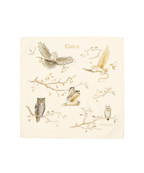 bpr BEAMS（ビーピーアール ビームス ）の「The Printed Image / BANDANA（バンダナ/スカーフ・メンズ・ワイン/ブラウン系その他/レッド系その他6/レッド系その他2/オフホワイト/ブラウン系その他4/オレンジ系その他2/ブラック系その他/ブラウン系その他5/ブラック系その他4/ホワイト系その他6/レッド系その他4/シルバー/ピンク/カーキ/グレー/ライトグレー/レッド系その他/チャコールグレー/ホワイト系その他3/ホワイト系その他2/ナチュラル/ホワイト系その他7/ホワイト系その他4/ブラウン系その他3/ブラウン系その他2/グレー系その他/ベージュ/レッド系その他3/ブラウン/ホワイト/ホワイト系その他5/ブラック系その他3/ダークブラウン/ブラック/レッド/ダークオレンジ/オレンジ系その他3/オレンジ系その他4/オレンジ系その他5/オレンジ系その他6/オレンジ系その他7/ケリーグリーン/オレンジ/ゴールド/イエロー/グリーン/ミント/マスタード/クリーム/グリーン系その他/イエロー系その他/コーラル/グリーン系その他2/グリーン系その他3/イエロー系その他2/イエロー系その他3/イエロー系その他4/イエロー系その他5/イエロー系その他6/レッド系その他5/オリーブ/サックスブルー/ダークグリーン/ライトブルー/レッド系その他7/グリーン系その他5/ブルー系その他2/ブルー系その他/グリーン系その他4/オレンジ系その他・ONE SIZE）」の17枚目の写真