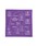 bpr BEAMSir[s[A[ r[X j́uThe Printed Image / BANDANAio_i/XJ[tjvbI[u