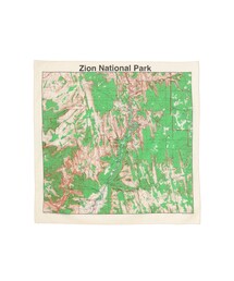 bpr BEAMS（ビーピーアール ビームス ）の「The Printed Image / BANDANA（バンダナ/スカーフ）」