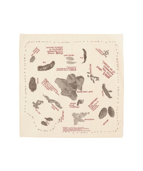 bpr BEAMS（ビーピーアール ビームス ）の「The Printed Image / BANDANA（バンダナ/スカーフ・メンズ・ワイン/ブラウン系その他/レッド系その他6/レッド系その他2/オフホワイト/ブラウン系その他4/オレンジ系その他2/ブラック系その他/ブラウン系その他5/ブラック系その他4/ホワイト系その他6/レッド系その他4/シルバー/ピンク/カーキ/グレー/ライトグレー/レッド系その他/チャコールグレー/ホワイト系その他3/ホワイト系その他2/ナチュラル/ホワイト系その他7/ホワイト系その他4/ブラウン系その他3/ブラウン系その他2/グレー系その他/ベージュ/レッド系その他3/ブラウン/ホワイト/ホワイト系その他5/ブラック系その他3/ダークブラウン/ブラック/レッド/ダークオレンジ/オレンジ系その他3/オレンジ系その他4/オレンジ系その他5/オレンジ系その他6/オレンジ系その他7/ケリーグリーン/オレンジ/ゴールド/イエロー/グリーン/ミント/マスタード/クリーム/グリーン系その他/イエロー系その他/コーラル/グリーン系その他2/グリーン系その他3/イエロー系その他2/イエロー系その他3/イエロー系その他4/イエロー系その他5/イエロー系その他6/レッド系その他5/オリーブ/サックスブルー/ダークグリーン/ライトブルー/レッド系その他7/グリーン系その他5/ブルー系その他2/ブルー系その他/グリーン系その他4/オレンジ系その他・ONE SIZE）」の13枚目の写真