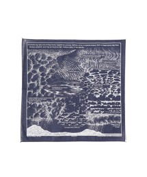 bpr BEAMS（ビーピーアール ビームス ）の「The Printed Image / BANDANA（バンダナ/スカーフ）」