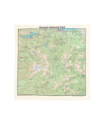 bpr BEAMS（ビーピーアール ビームス ）の「The Printed Image / BANDANA（バンダナ/スカーフ）」