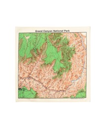 bpr BEAMS（ビーピーアール ビームス ）の「The Printed Image / BANDANA（バンダナ/スカーフ）」