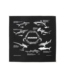 bpr BEAMS(r[s[A[ r[X )The Printed Image / BANDANA(o_i/XJ[t)