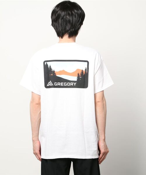 GREGORY(グレゴリー)の「【別注】グレゴリー GREGORY GMP LOGO T ALPN A V2 S-WHITE 限定コラボ(Tシャツ/カットソー・メンズ・ホワイト・LL/S/M/L)」の2枚目の写真