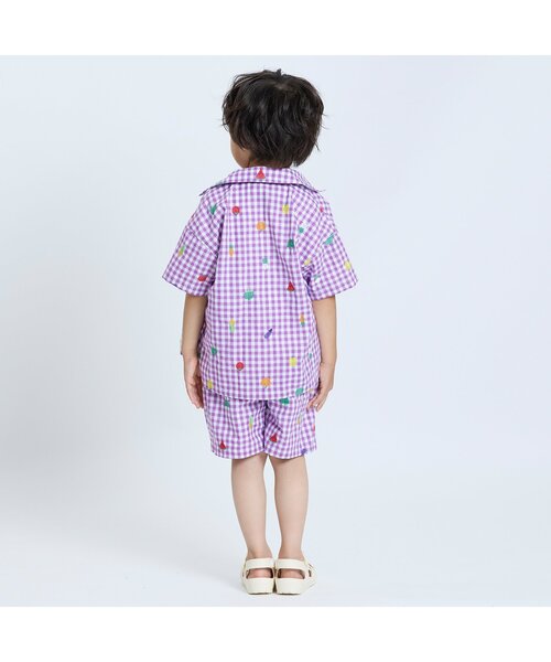 made in usa フルーツ柄シャツ　半袖 AMERIA ANDERSON】rayon pattern set-up /フルーツ柄 半袖シャツ