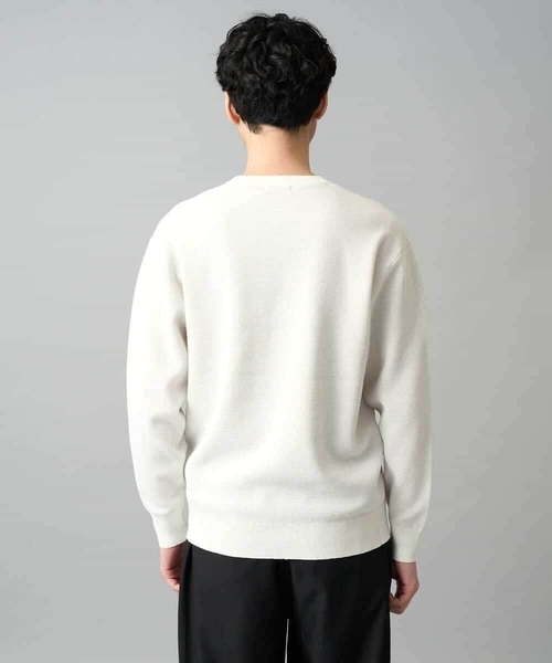 a.v.v（アーヴェヴェ）の「【洗濯機で洗える】タックメッシュクルーネックニット（ニット/セーター・メンズ・ピンク/ホワイト/ミント・46/48）」の21枚目の写真