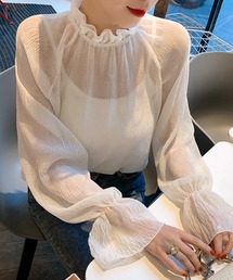 DAY CLOSET | レディース　シースルーフリルハイネックブラウス(シャツ/ブラウス)