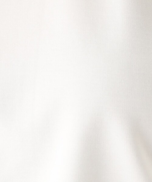 index（インデックス）の「◆オーガンジースリーブ ドッキングトップス【WEB限定サイズ】（Tシャツ/カットソー・レディース・ライトブルー/ブラック/ホワイト系・40/38/42/36）」の11枚目の写真