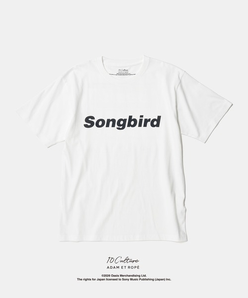 ADAM ET ROPE'(アダムエロペ)の「【oasis 10Culture / ADAM ET ROPE'】Stop The Clocks T-SH -WHITE(Tシャツ/カットソー・メンズ・キナリ/チャコールグレー/ホワイト系その他/ブラック系その他2/ホワイト/グレー/スミクロ/ホワイト系その他5/ライトグレー/オフホワイト/ホワイト系その他6/ダークブラウン/ホワイト系その他3/ブラック系その他/ホワイト系その他7/ホワイト系その他2/グレー系その他/ブラック/ホワイト系その他4/ブラック系その他3・M/L/XL)」の9枚目の写真