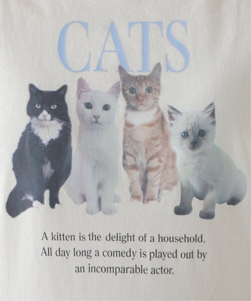 RAY CASSIN（レイカズン）の「ネコプリントTシャツ（Tシャツ/カットソー・レディース・オフホワイト/ブルー/ネイビー・FREE）」の18枚目の写真