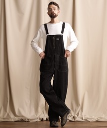 schott | 【直営店限定】Schott/ショット/OLD HICKORY OVERALL/オールド ヒッコリー オーバーオール(サロペット/オーバーオール)