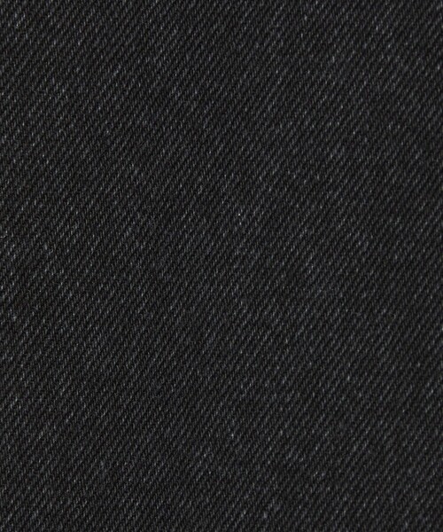 green label relaxing（グリーンレーベルリラクシング）の「【WEB限定】＜GLR or＞デニム パンツ（デニムパンツ・メンズ・ブラック/ネイビー・M/L）」の16枚目の写真