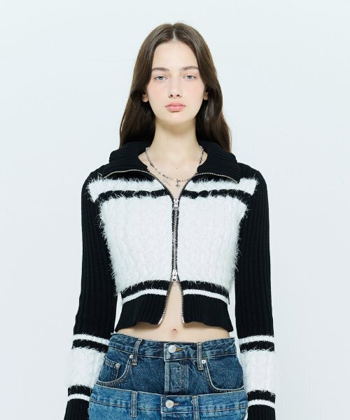 LARTIGENT(ラーティゼン)の「L6 COLORBLOCK KNIT ZIPUP(IVORY)(ニット/セーター・レディース・その他・FREE)」の5枚目の写真