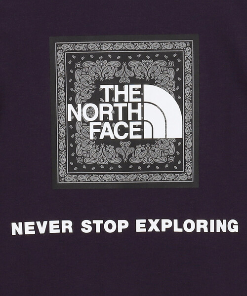 THE NORTH FACE(ザノースフェイス)の「THE NORTH FACE/ザ・ノース・フェイス S/S Bandana Square Logo tee / NT32446 / ショートスリーブバンダナスクエアロゴティー(Tシャツ/カットソー・メンズ・ブラック/ホワイト/グレー/パープル/ネイビー・X-LARGE/XX-LARGE/MEDIUM/LARGE)」の9枚目の写真
