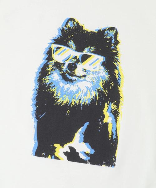 ITEMS URBANRESEARCH（アイテムズ アーバンリサーチ）の「『接触冷感/吸水速乾/UVカット』DOG IN SHADES プリントTシャツ（Tシャツ/カットソー・メンズ・その他3/その他1/その他2・LARGE/MEDIUM）」の8枚目の写真