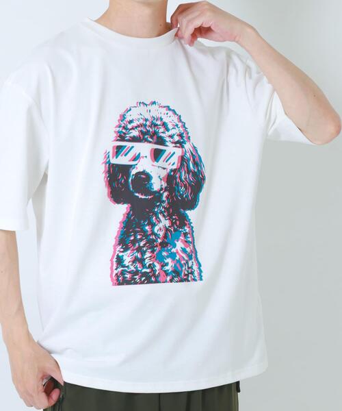 ITEMS URBANRESEARCH（アイテムズ アーバンリサーチ）の「『接触冷感/吸水速乾/UVカット』DOG IN SHADES プリントTシャツ（Tシャツ/カットソー・メンズ・その他3/その他1/その他2・LARGE/MEDIUM）」の17枚目の写真