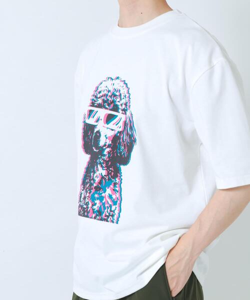ITEMS URBANRESEARCH（アイテムズ アーバンリサーチ）の「『接触冷感/吸水速乾/UVカット』DOG IN SHADES プリントTシャツ（Tシャツ/カットソー・メンズ・その他3/その他1/その他2・LARGE/MEDIUM）」の18枚目の写真
