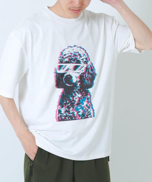 ITEMS URBANRESEARCH（アイテムズ アーバンリサーチ）の「『接触冷感/吸水速乾/UVカット』DOG IN SHADES プリントTシャツ（Tシャツ/カットソー・メンズ・その他3/その他1/その他2・LARGE/MEDIUM）」の20枚目の写真
