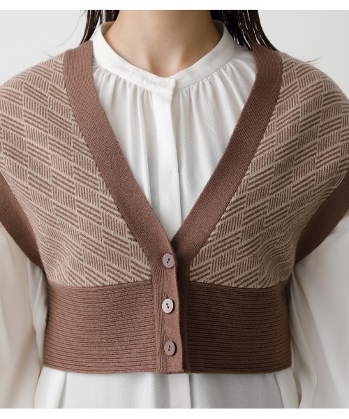 AZUL by moussy(アズールバイマウジー)の「PATTERN COMPACT KNIT VEST/パターンコンパクトニットベスト(タンクトップ・レディース・ブラウン系その他/ブラック系その他・FREE)」の20枚目の写真