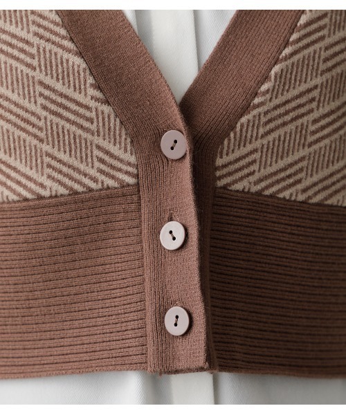 AZUL by moussy(アズールバイマウジー)の「PATTERN COMPACT KNIT VEST/パターンコンパクトニットベスト(タンクトップ・レディース・ブラウン系その他/ブラック系その他・FREE)」の22枚目の写真