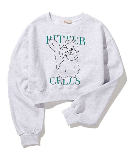BITTER CELLS（ビターセルズ）の「BITTER CELLS／シマリスプルオーバー(ウラケ) 2193587（スウェット・レディース・ナチュラル/ライトグレー/ネイビー・MEDIUM/SMALL）」の18枚目の写真
